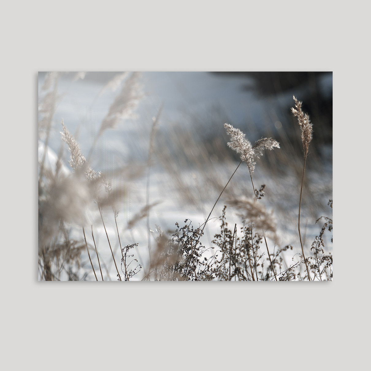 Vinter i Jyllinge