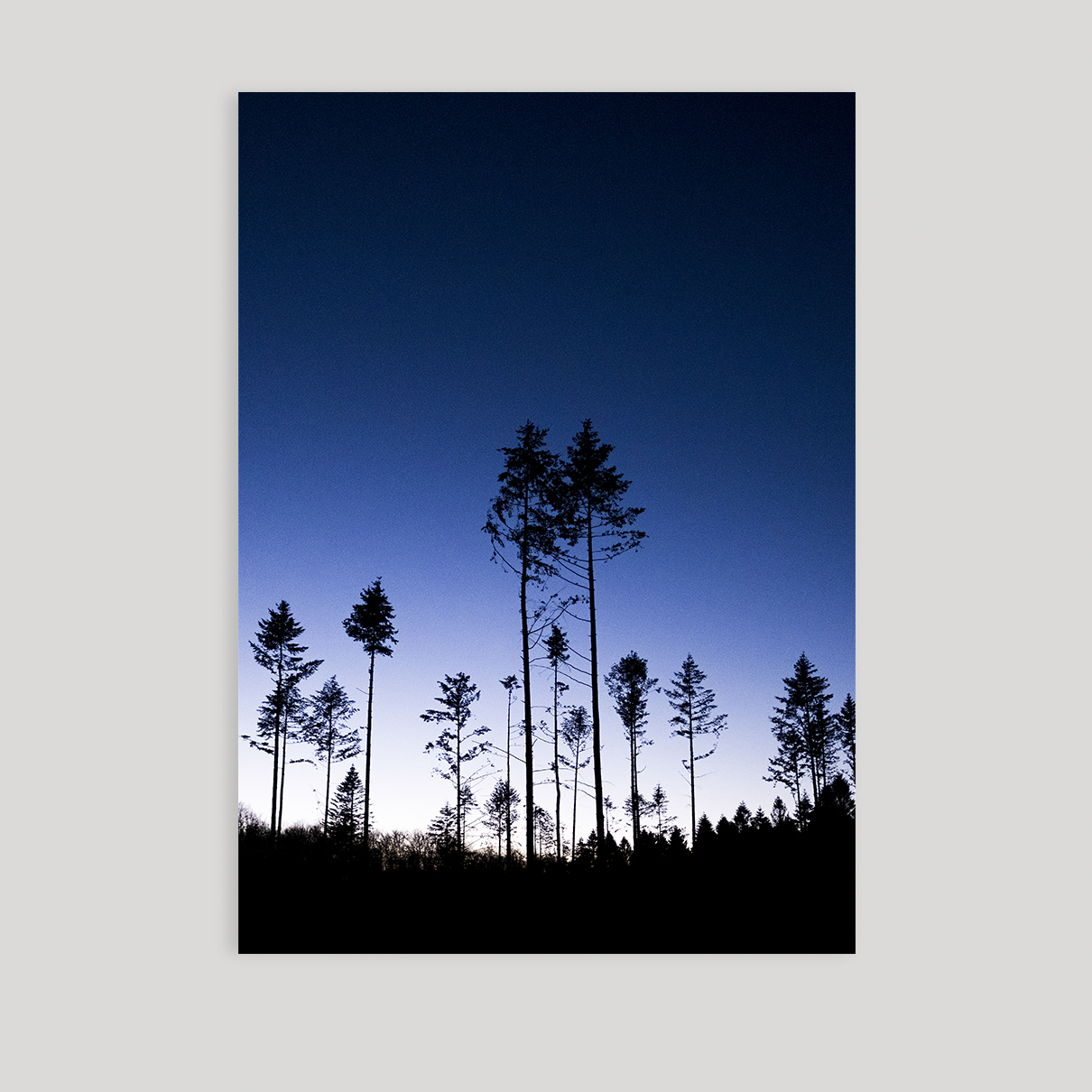 Aften stemning i Farum