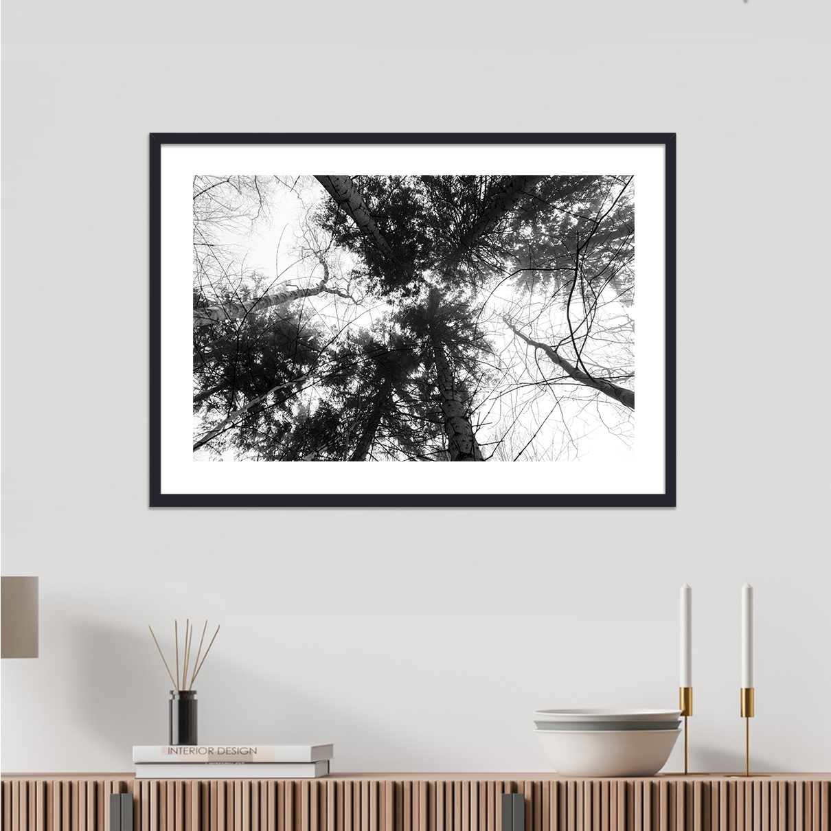 Trækroner i Sperrestrup skov