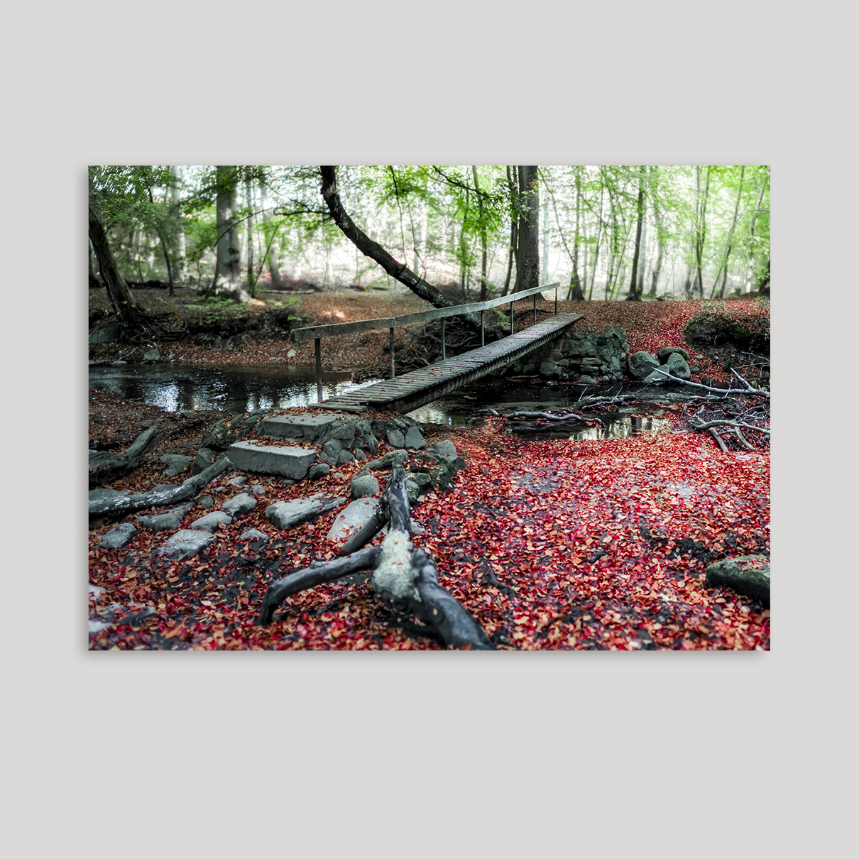 Broen i Skovhus vænge i Køge