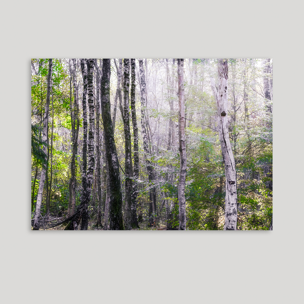 Efteråret i Buresø