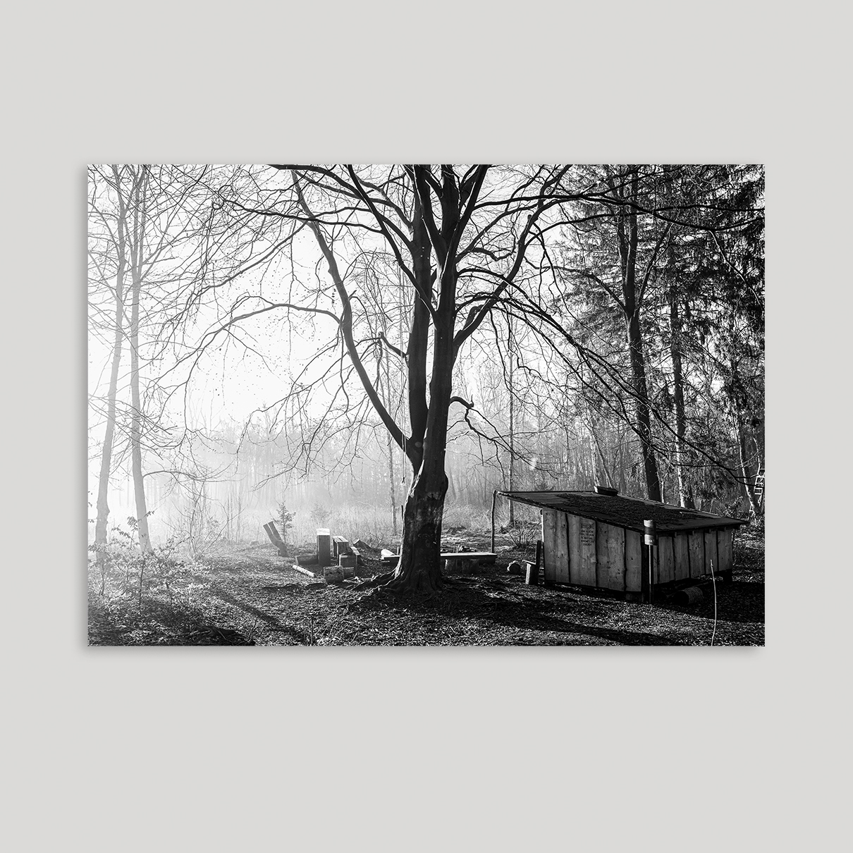 Lyset i i tennisskoven i Ølstykke