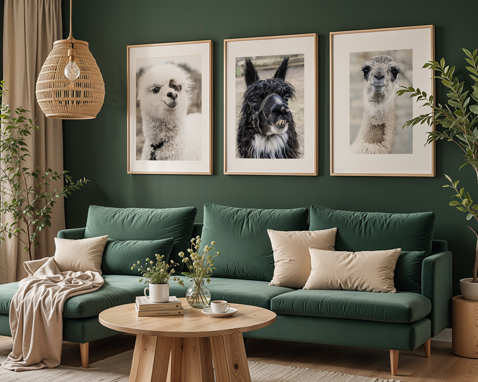 Magni, Frederik & Kara – 3 plakater