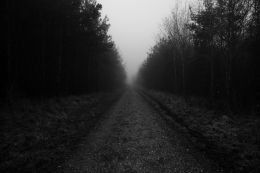 sort_hvid_billede_andersn.dk_103
